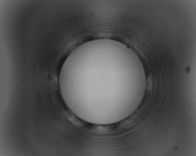 X0000101980522200807180803