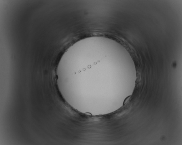 X0000101980523200807180803
