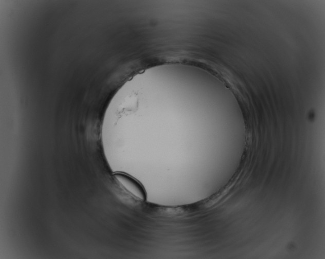 X0000101980525200807180803