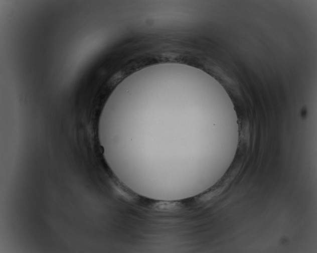 X0000101980526200807180803