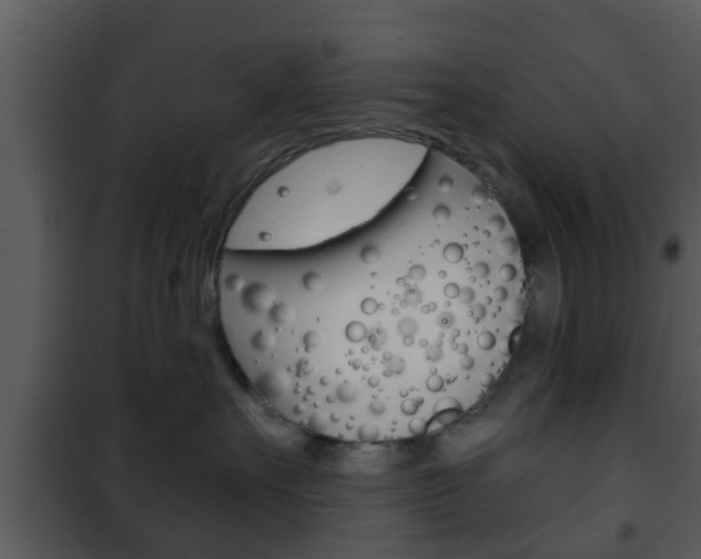 X0000101980527200807180803