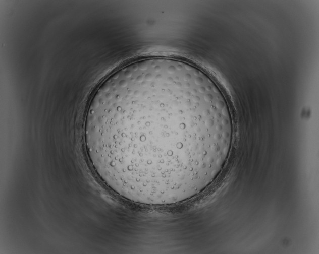 X0000101980529200807180803
