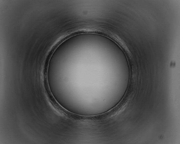 X0000101980530200807180803