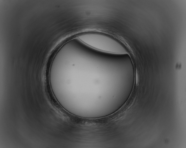 X0000101980531200807180803
