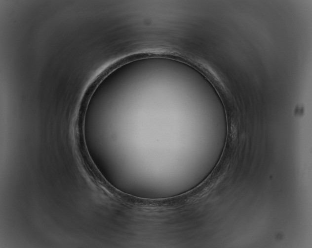 X0000101980532200807180803