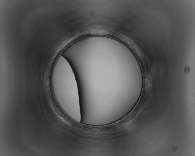 X0000101980533200807180803