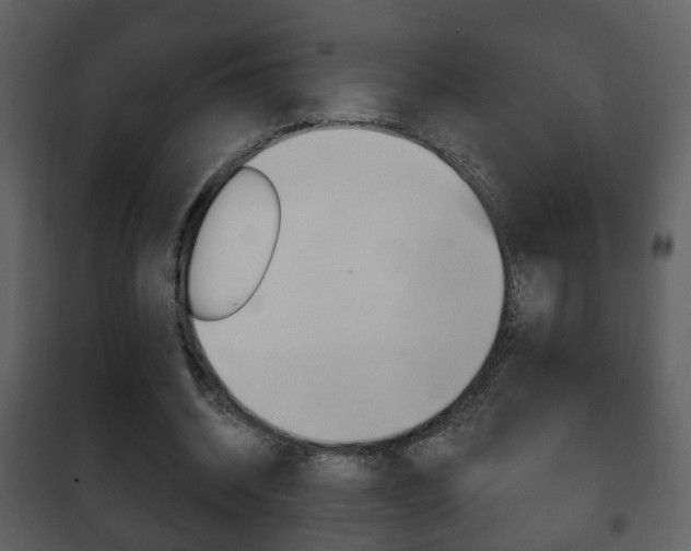 X0000101980534200807180803