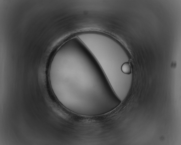 X0000101980535200807180803