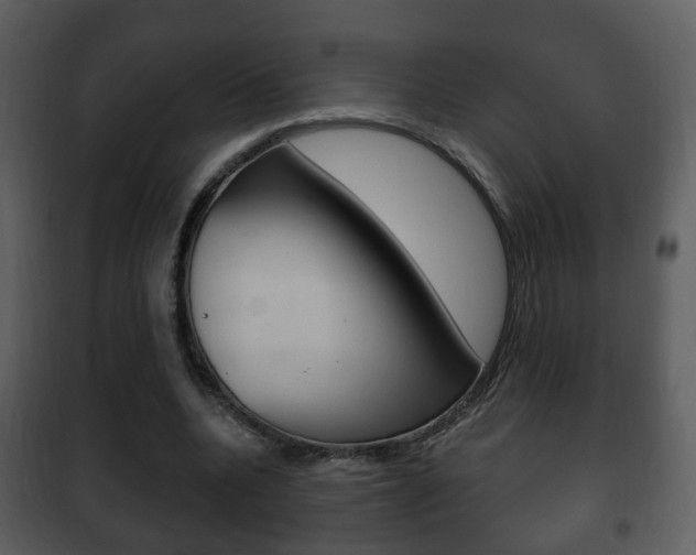 X0000101980536200807180803
