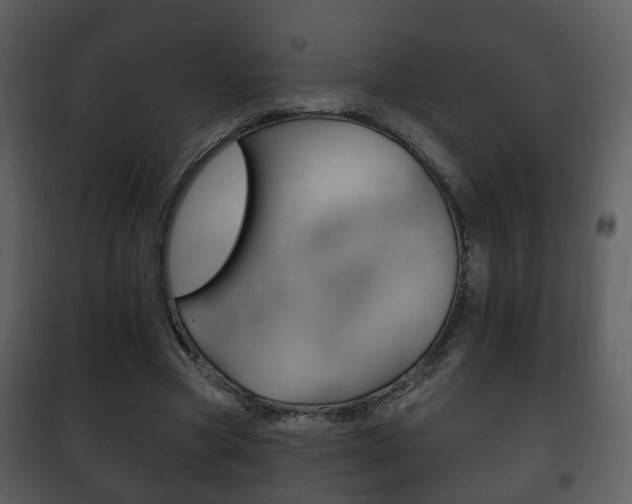 X0000101980537200807180803