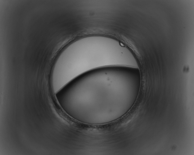 X0000101980538200807180803