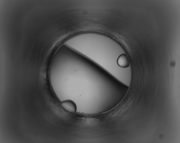 X0000101980539200807180803