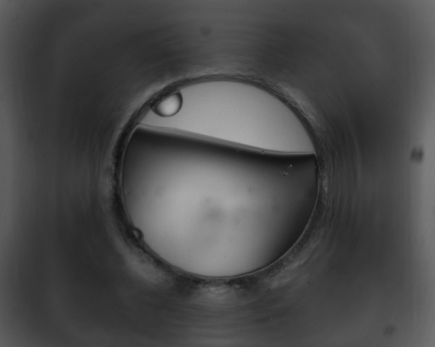 X0000101980540200807180803