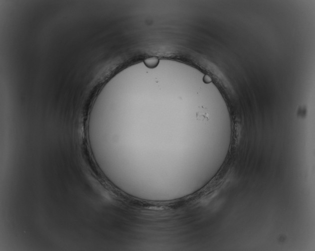 X0000101980541200807180803