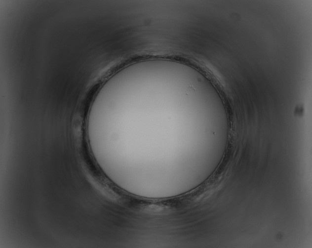 X0000101980542200807180803