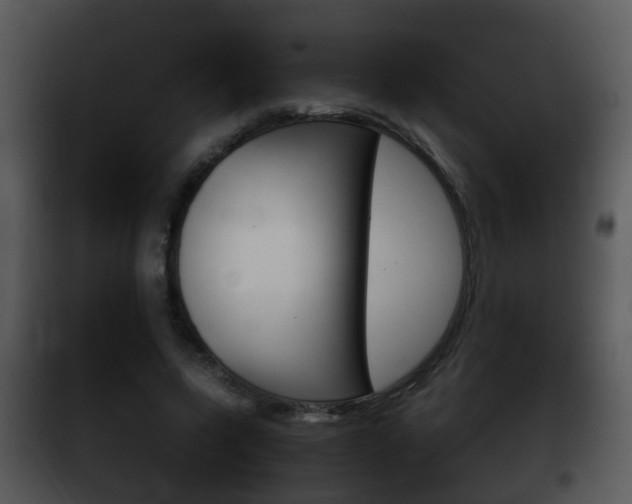 X0000101980543200807180803