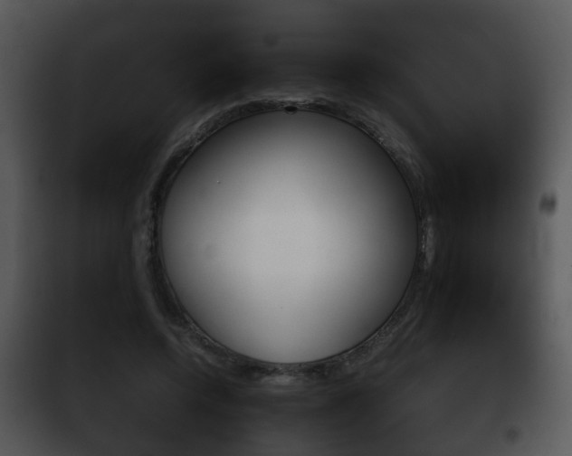 X0000101980544200807180803