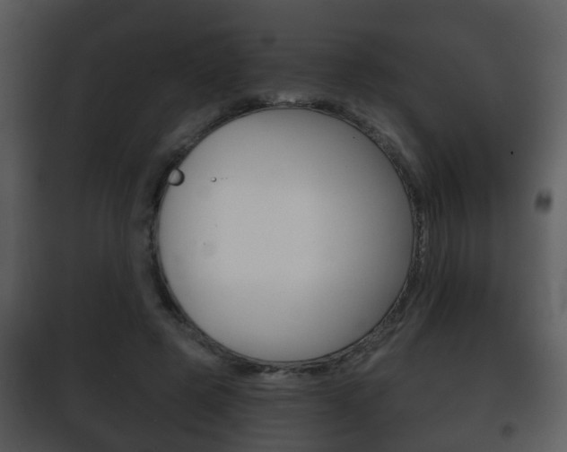 X0000101980545200807180803