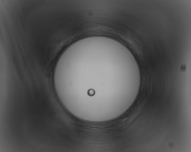 X0000101980547200807180803
