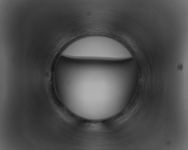 X0000101980548200807180803