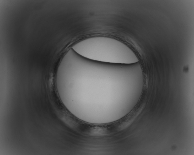 X0000101980549200807180803