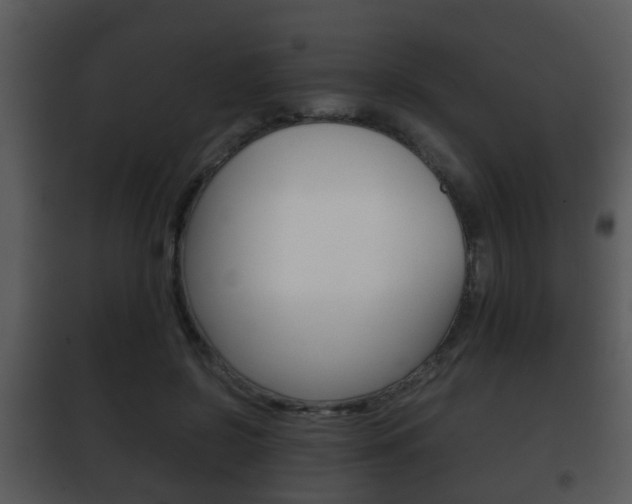 X0000101980550200807180803