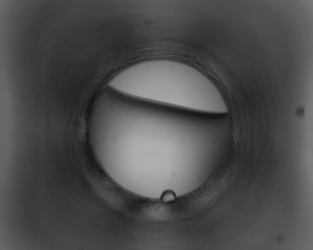 X0000101980551200807180803