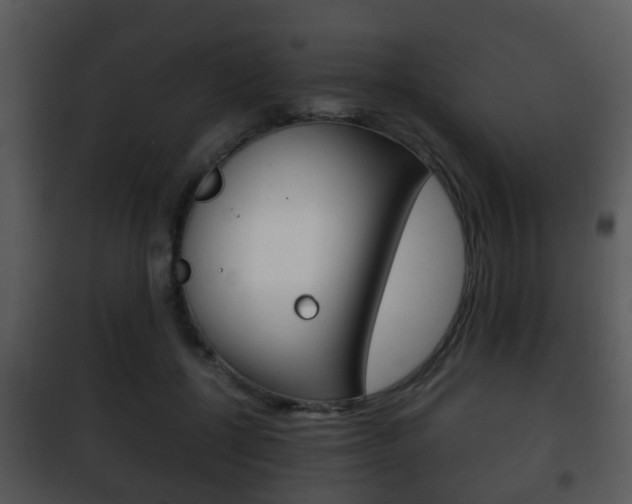 X0000101980552200807180803