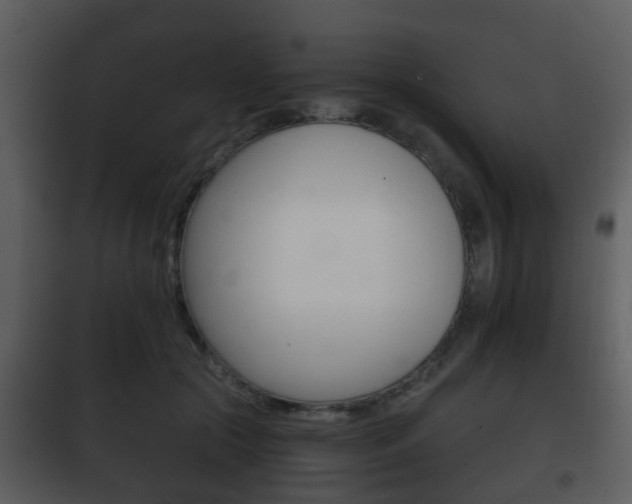 X0000101980553200807180803