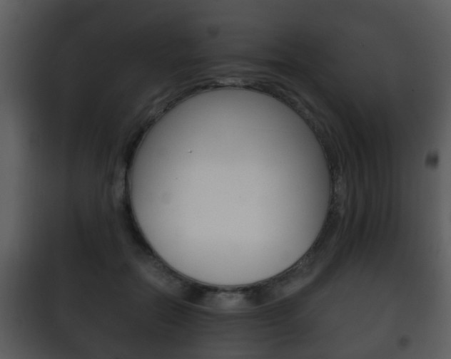 X0000101980554200807180803