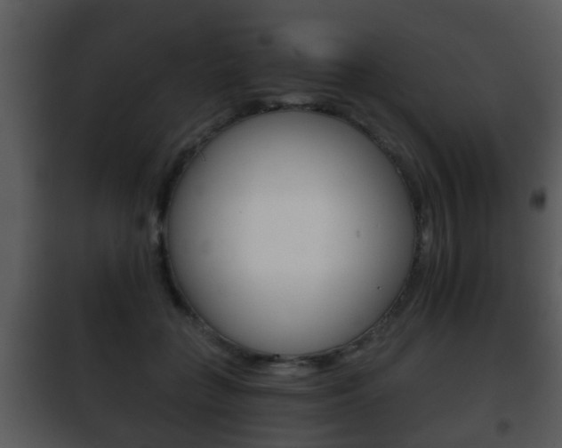 X0000101980555200807180803