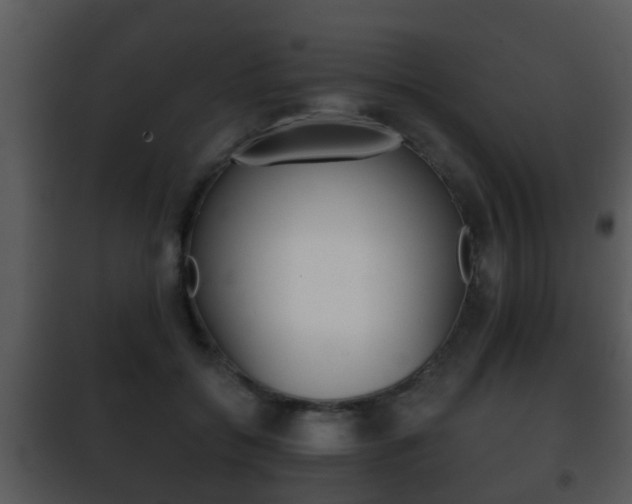 X0000101980556200807180803