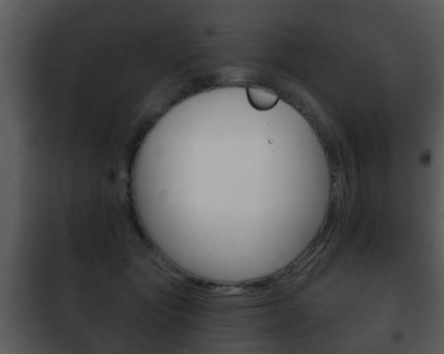 X0000101980557200807180803