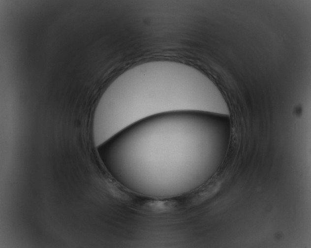 X0000101980558200807180803