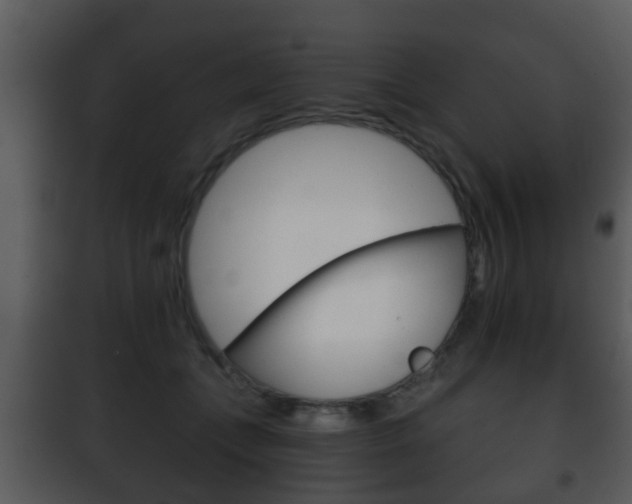 X0000101980559200807180803