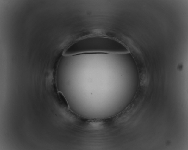 X0000101980560200807180803