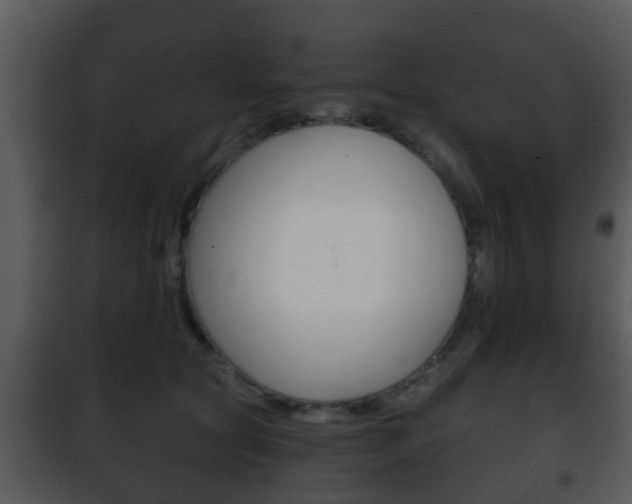 X0000101980561200807180803