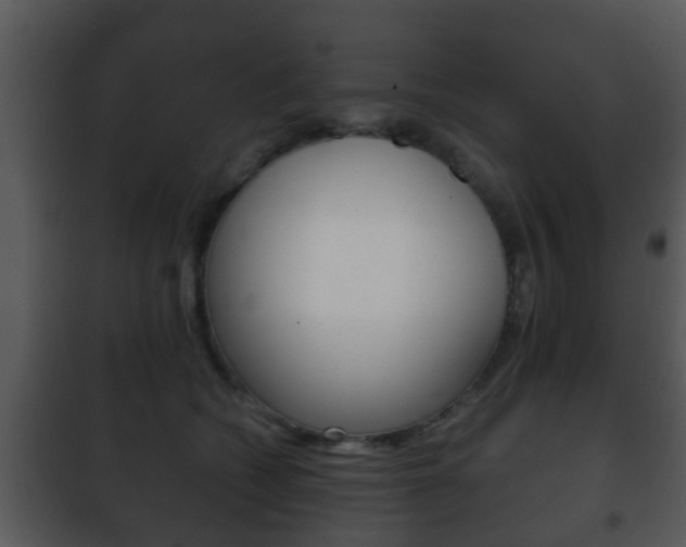 X0000101980562200807180803