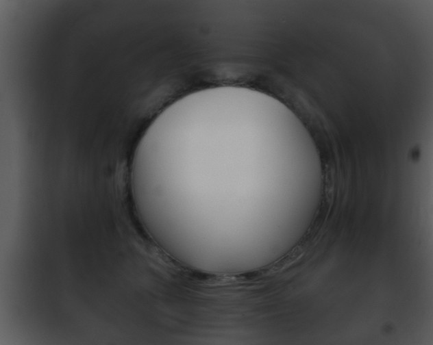 X0000101980563200807180803