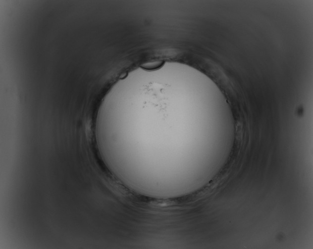 X0000101980564200807180803