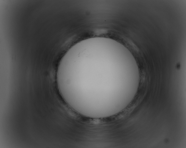 X0000101980565200807180803