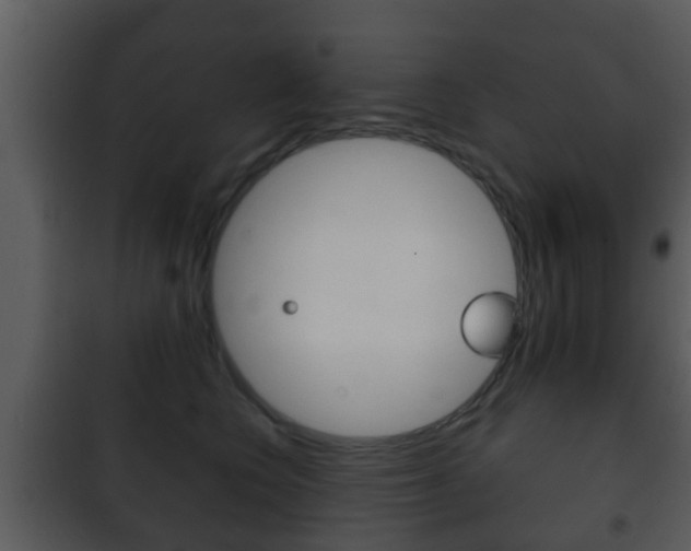 X0000101980566200807180803