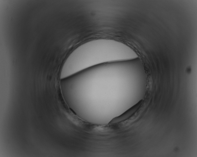 X0000101980568200807180803