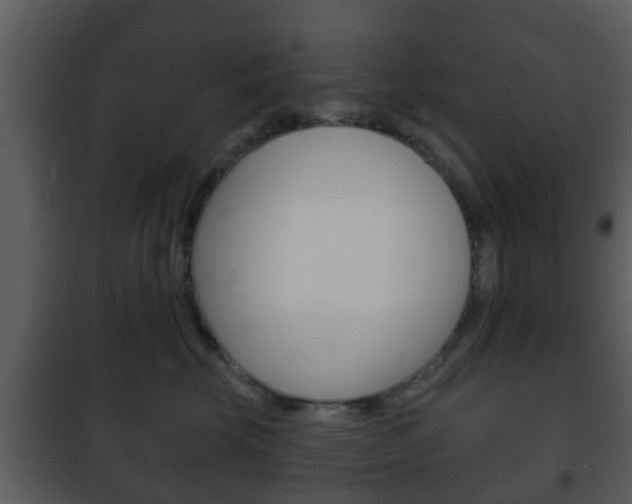 X0000101980569200807180803
