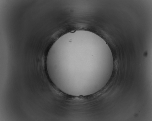 X0000101980570200807180803