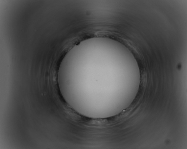 X0000101980571200807180803