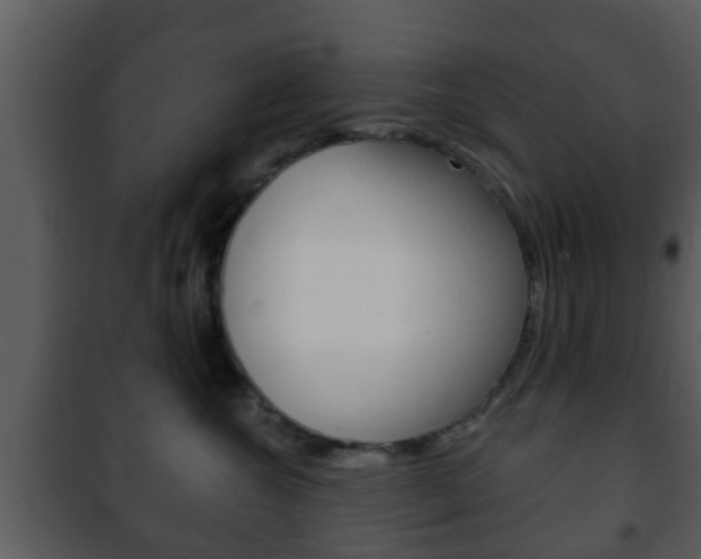 X0000101980572200807180803