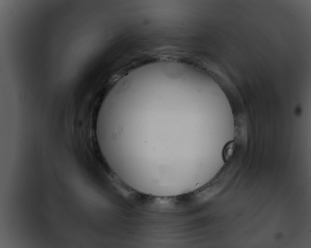X0000101980573200807180803