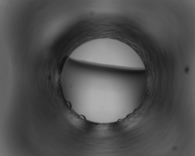 X0000101980574200807180803