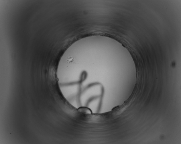 X0000101980575200807180803